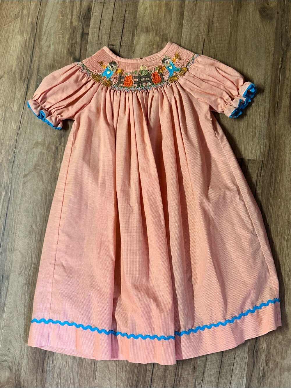 Castles & Crowns Girls Fall Gingham Smocked Embroidered Dress 3T